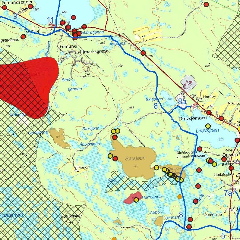 Naturmangfold Løype nr. 8 går gjennom et område registrert som viktig for naturmangfold. Bakgrunnen for registeringen er tilhold av storlom.