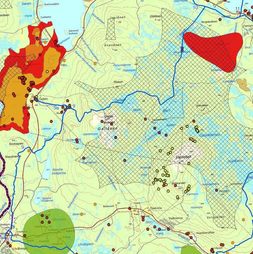 Naturmangfold Løype nr. 9 passerer registreringer av arter med stor og særlig stor forvaltningsinteresse. Dette er i hovedsak karplanter.