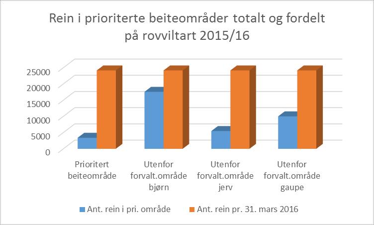 Side 13 av 33 Hvis vi ser på tall fra ressursregnskapet for reindrift i region 6 ser vi at kun 14 % av tamreinene beiter i rene prioriterte beiteområder. I 2015/16 var antall rein i vinterflokk pr.