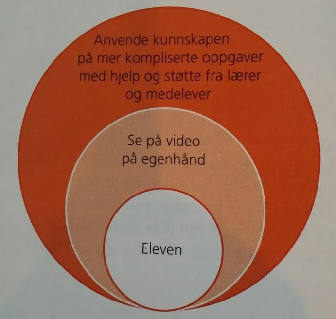 Gotaas (2015) trekker paralleller fra Vygotskij sin modell til en modifisert proksimal utviklingssone basert på omvendt undervisning.