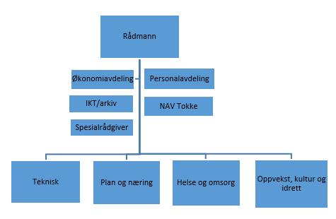 733 018 Økonomistyring Tokke kommune 2 Rutinar og tiltak for god økonomistyring 2.