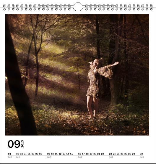 Veggkalender 20x30