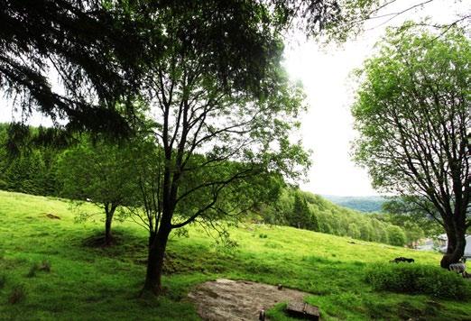 Fakta og avstander Bergen Sædalen er en liten dal og et boligområde på østsiden av Nattlandsfjellet mellom