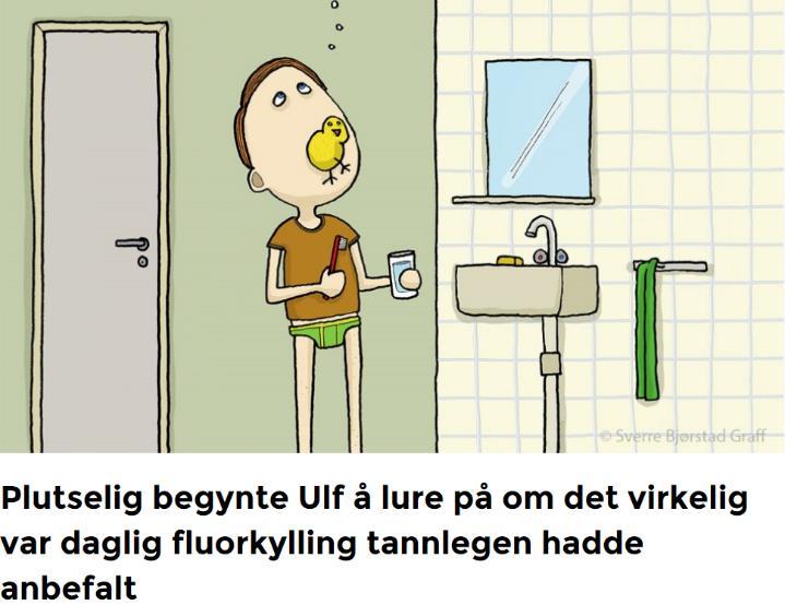 De holder nå til på Fylkestannhelsesjefens kontor hvor de bearbeider data. Ved hjelp av OPG og bitewing diagnostiserer de hovedsakelig periodontitt, dette gjøres på pc og hele jobben gjøres i mørket.