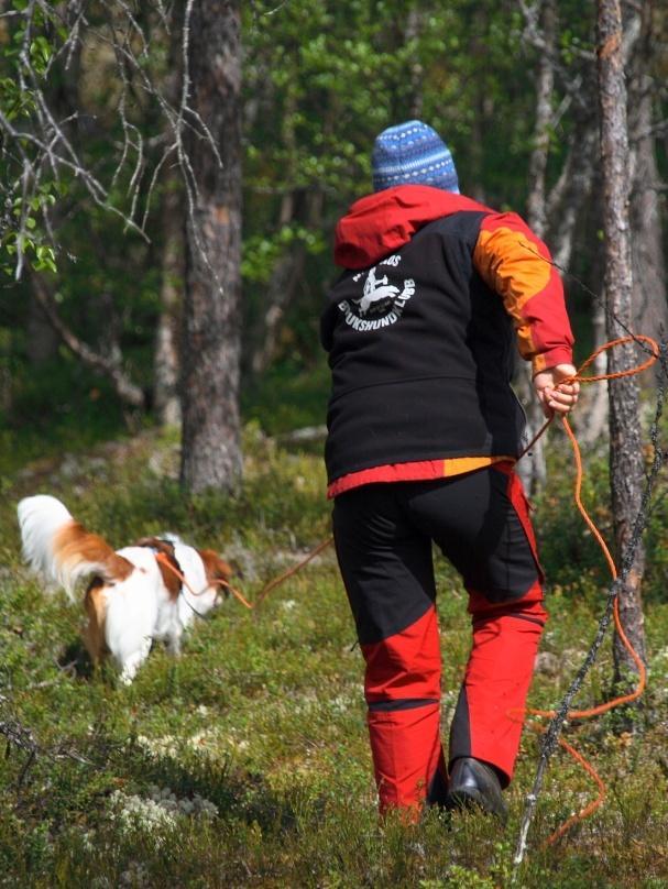 Hvordan gå sporet: kke gå og småprat med hunden, la den jobbe i fred. Har du med deg følge i sporet, skal de gå bak deg, rolig og ikke prate / forstyrre.