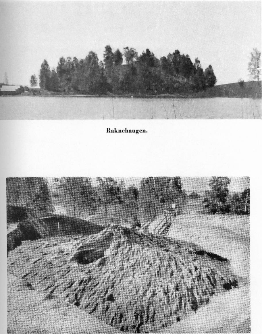 Raknehaugen. Fra utgravingen. En ser det ytterste lag av tømmerstokkene (av gresk masson = fjernere).