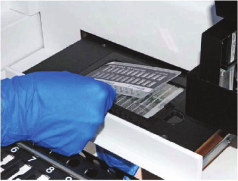 9. Plasser nødvendig antall BD MAX PCR-kassetter BD MAX-systemet (se figur 3). Hver kassett kan inneholde opptil 24 prøver.