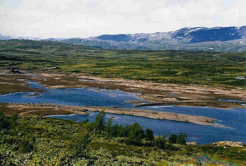 Fiskebiologiske undersøkelser i Varaldsetvatnet, Hol