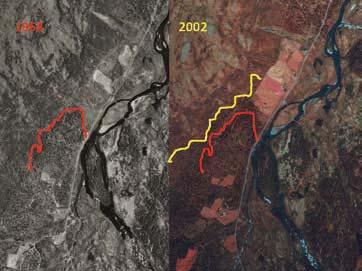 Figur 6 Flybilder fra 1964 og 2002 tatt over Russlia og Russtangen, setrer i Sjodalen, Jotunheimen. Den røde linja viser hvor skoggrensa lå i 1964 mens den gule linja viser hvor den lå i 2002.
