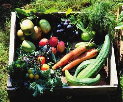 Spesielt for barn Noen foreldre ønsker å gi barn vegetarkost (ikke kjøtt, fisk eller fugl) eller vegankost (heller ikke egg og meieriprodukter).