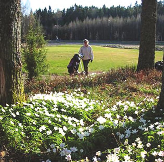 VGK er en medlemsorganisasjon der hvert medlem over femten år har én stemme og sånn sett kan være med å påvirke klubbens retning og aktiviteter gjennom verv som tillitsvalgte og gjennom deltakelse på