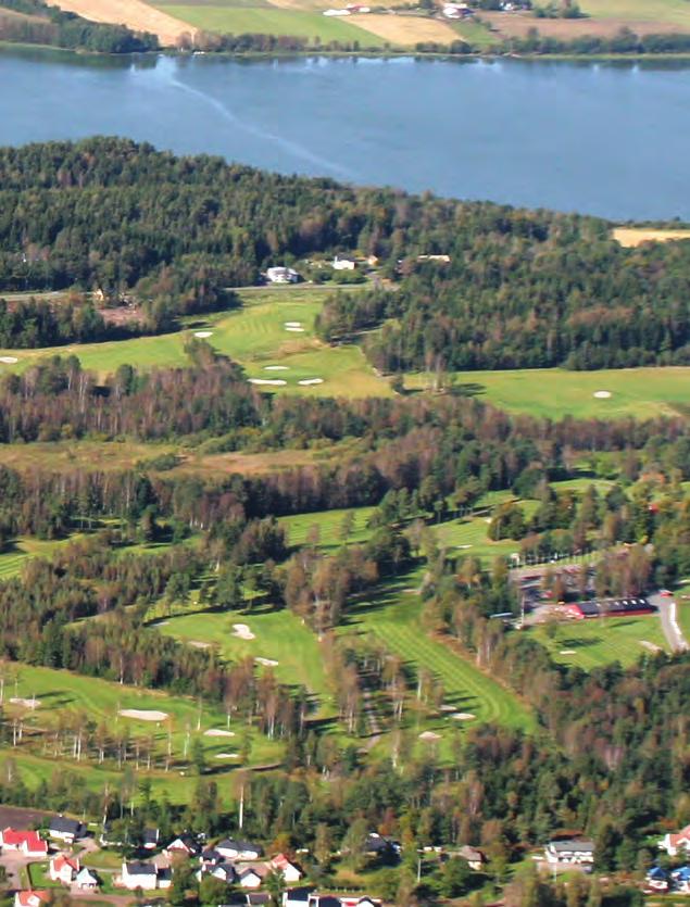 spillere var blant landets beste golfere. Både i 1994 og 1995 var Vestfold Golfklubb på topp i Norge. En andreplass og seier var gevinsten i Norgesmesterskapet for klubblag.