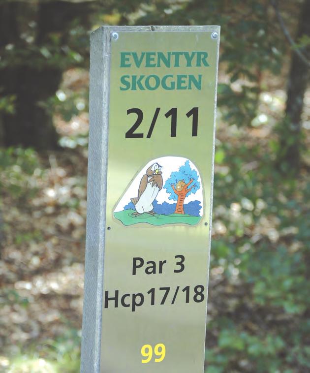 Det er relativt tett skog både på høyre og venstre side av fairwayen. Robergvannet Naturreservat ligger til høyre for fairway. For den litt erfarne er det mulighet til å oppnå birdie.