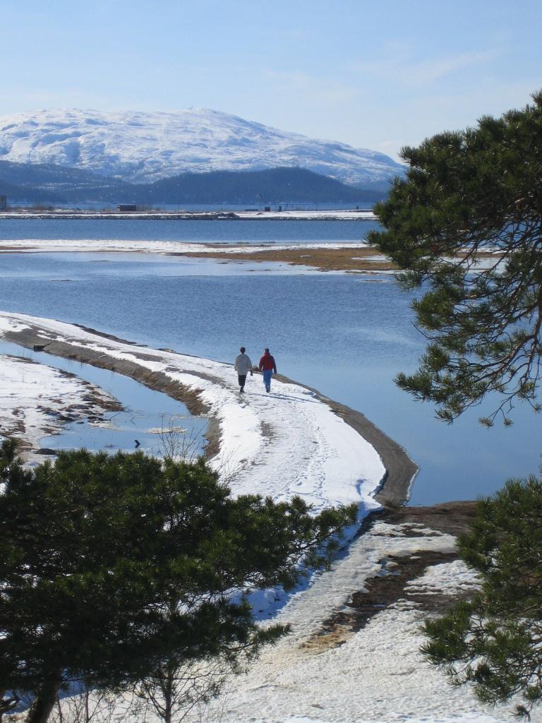 fysisk aktivitet og