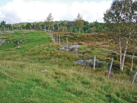 Tabell: Tal dyr per gjødseldyreining (GDE) Tal dyr per GDE Dyreslag Utan/med fytase Mjølkekyr 1 Jerseyfe 1,3 Ungdyr storfe 3 Ammekyr 1,5 Vaksne hestar 2 Avlspurkar/rånar 3 Slaktegris * 18 / 20