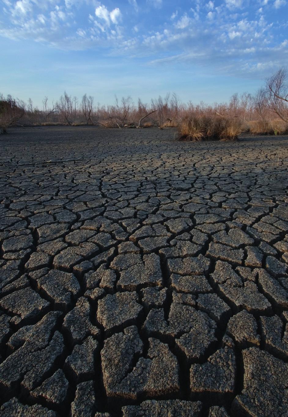 Tre ganger så høye CO2-utslipp som i dag i 2100 Tung avhengighet av fossile brensler Foto: Dutch Environment Agency Høyutslippsscenario 12