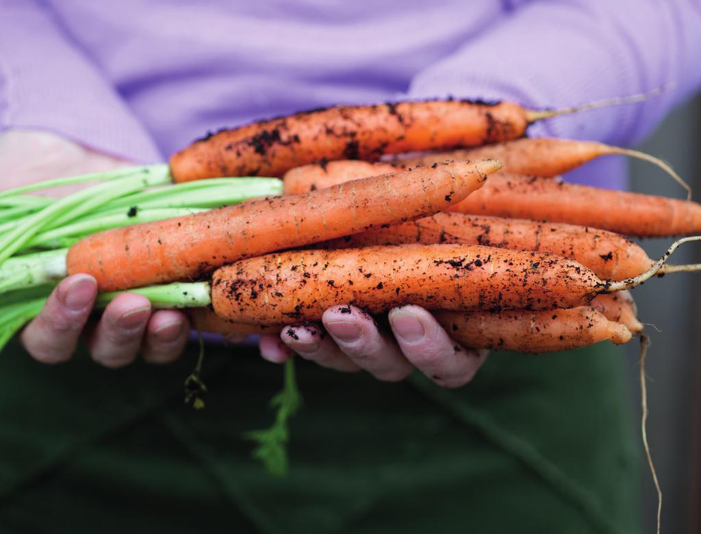 Foto: istockphoto.com områder på grunn av mer nedbør og avrenning. Klimaendringer kan føre til dårligere matsikkerhet, noe som kan føre til mer underernæring.