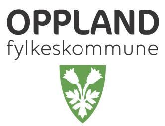 Kulturnett Oppland som ressurs for lag og foreninger i Oppland Kulturnett Oppland er et brukerstyrt nettsted som deler kunnskap og informasjon og viser frem muligheter, kompetanse og aktiviteter