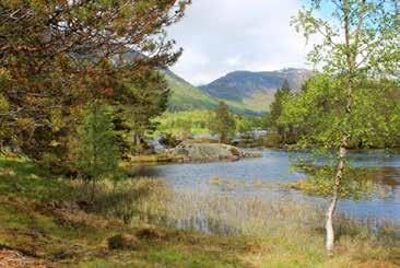 Ta standpunkt! Refleksjons- og diskusjonsoppgåve Tema: Naturmangfald, klima og miljø. Alder: Frå 10 år og oppover. Tid: ½ time eller lenger.