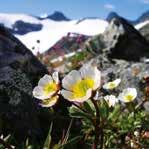 Mangfaldig natur Mangfaldig natur sommar- og vinteraktivitetar