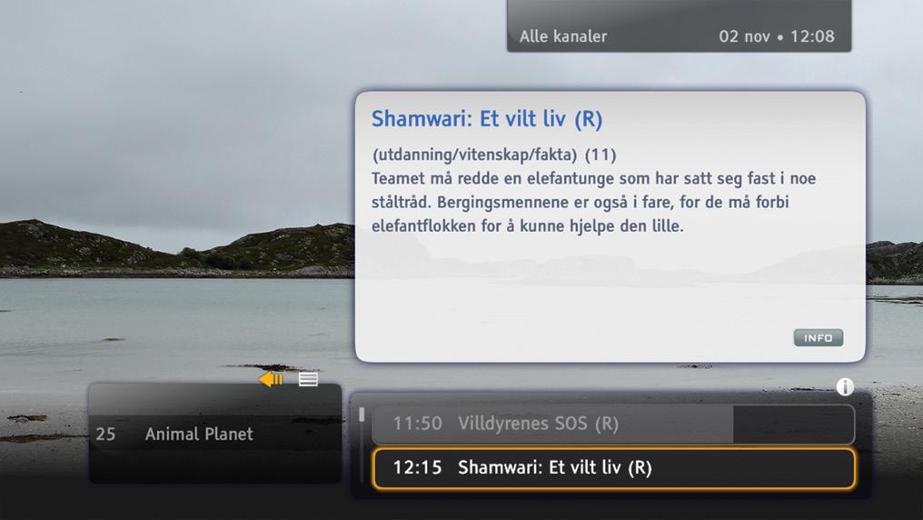 Banneret viser kanalnavn og -nummer, gjeldende og neste program og noen ikoner. Ikonene blir forklart under «Ikonoversikt» på side 28.