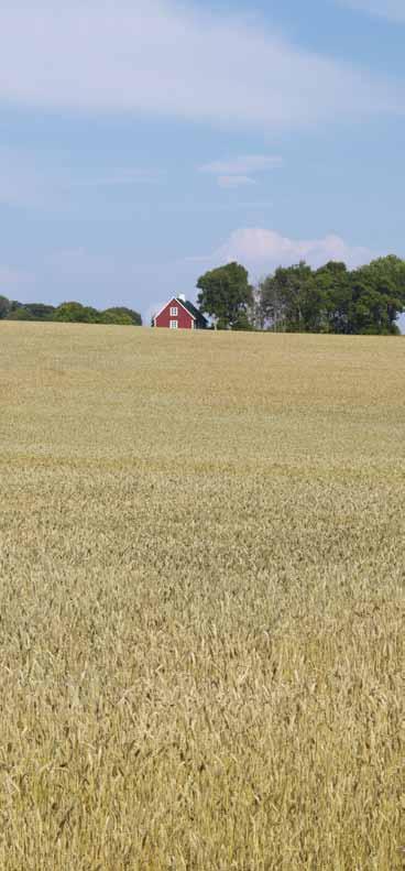 Hva er gluten og i hvilke produkter finnes det? Gluten er et protein som finnes i hvete, rug, bygg og alle produkter som inneholder proteiner fra disse kornsortene.