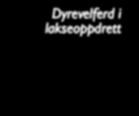 Dyrevelferd i lakseoppdrett Tore S.