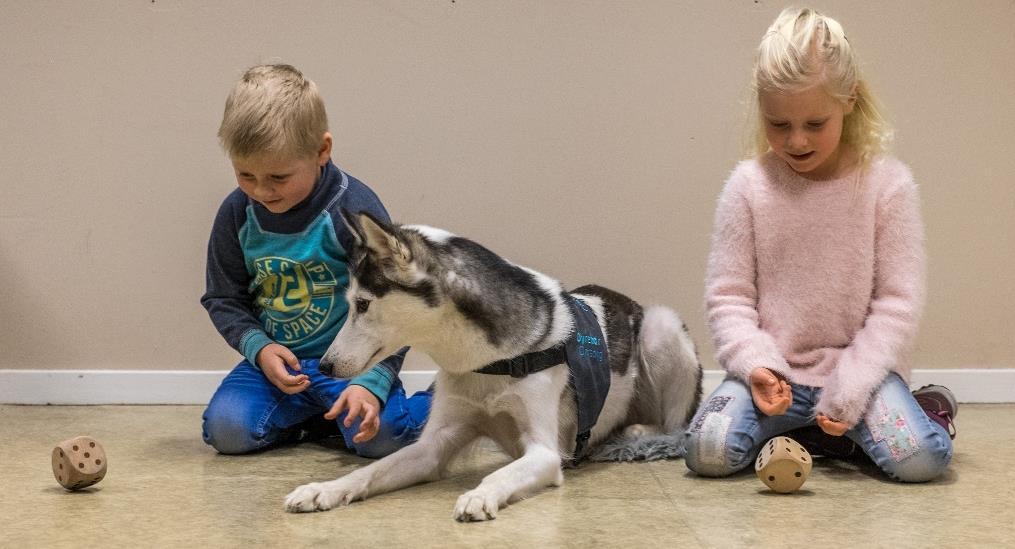 Hunder i jobb Vi som jobber med hunder i dyreassisterte intervensjoner vil gjerne ha hunder med så liten kroppssone som mulig.