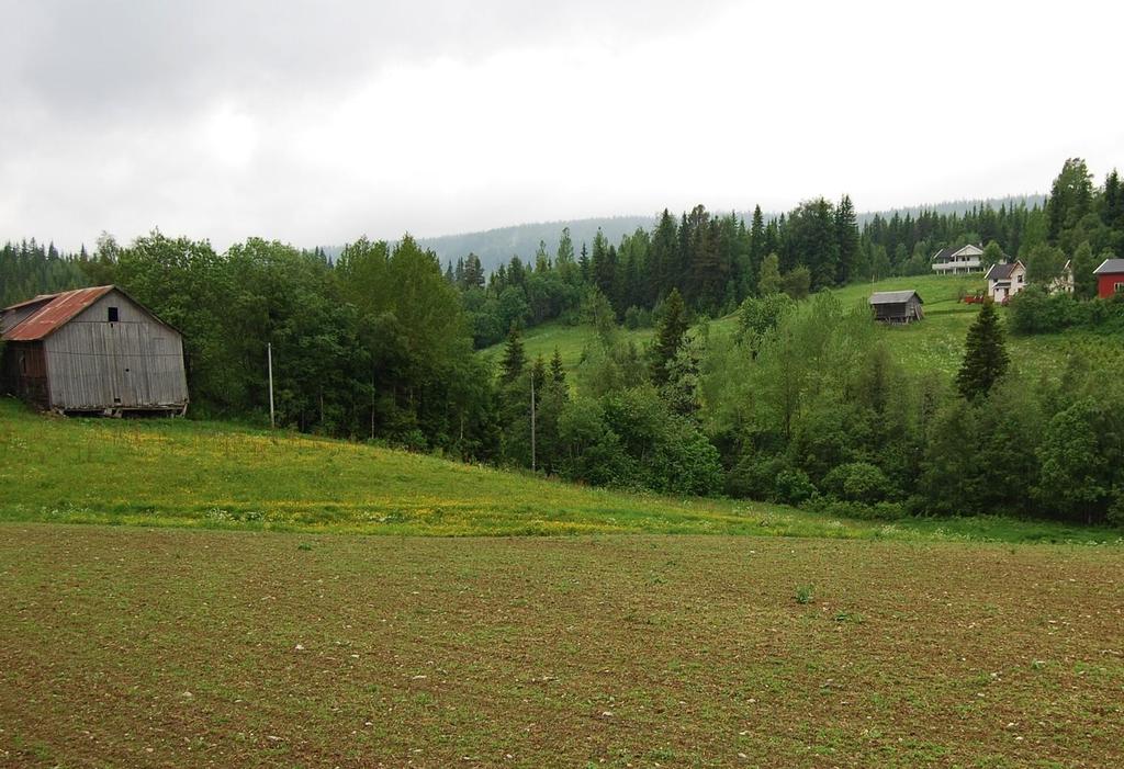 Bilde 29: Her ved gården Søndre Sønsteby går anbefalt trasé nederst i vestre li, like bak trærne midt på bildet (på begge