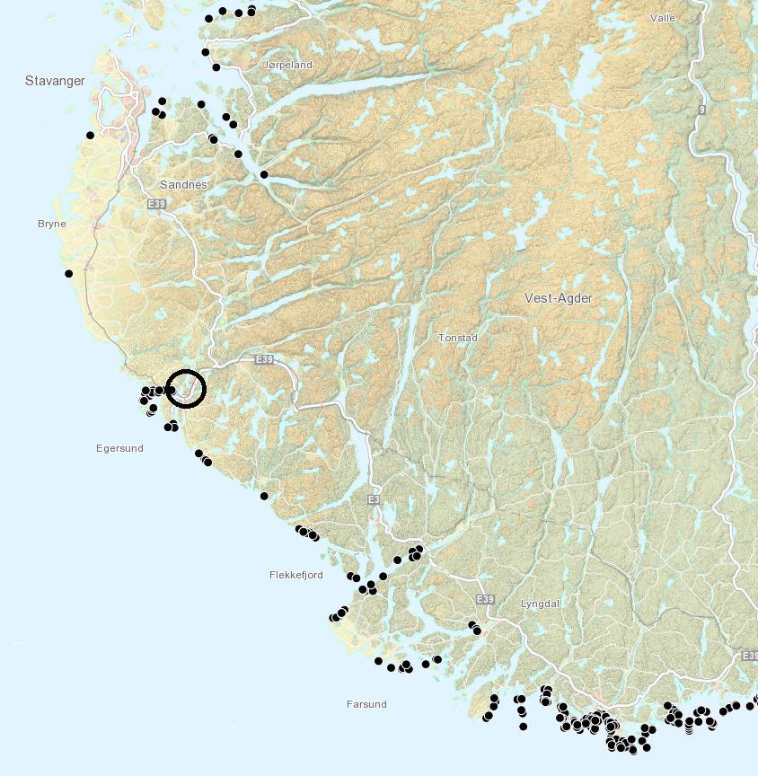 nærmere. Laksesmolt som vandrer ut av vassdraget, har kort vei til Jærkysten og havet.