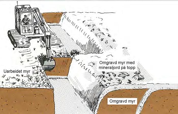 er samansett av komprimering (uttappingav vatn og tettare struktur i det organiske materialet) og svinn (mineralisering, nedbryting av organisk materiale).