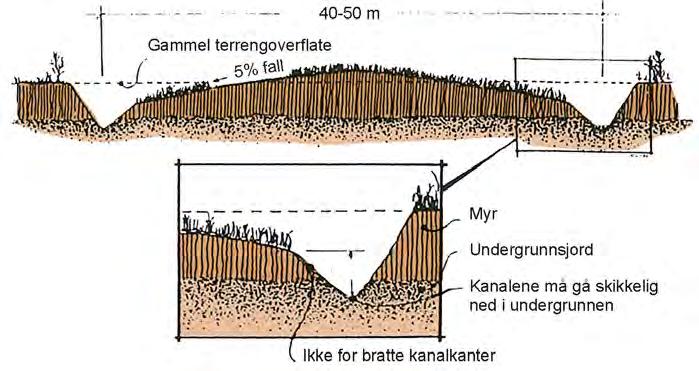 På grunnare myr (0,5-1,5 m) er årleg reduksjon vesentleg mindre (0,4-1,5 cm), men sterkt påverka av m.a. driftsmåte.