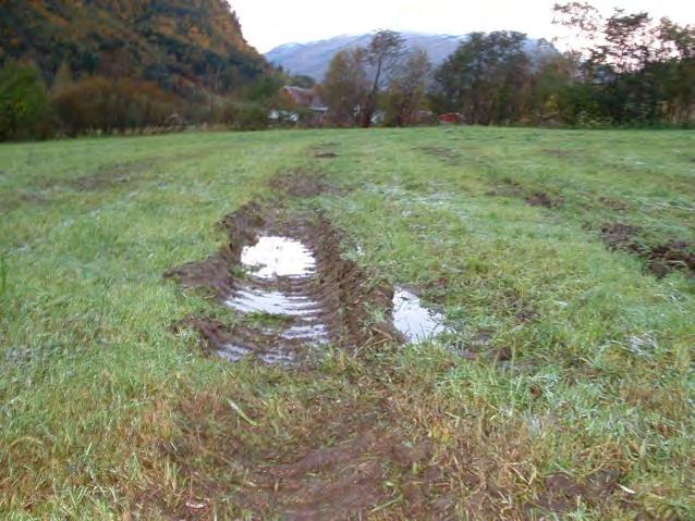 Landbruk Nordvest Ringreven 3/2012 Kjøreskader. Drenering og jordarbeiding kan til en viss grad redusere jordpakkinga i de øvre jordlag.