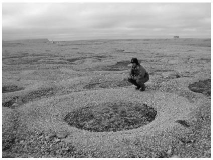 Figur 2-10: Steinsirkler på Svalbard (Humlum et al., 2003). Steinbreer Steinbreer er et resultat av strømninger i frosset materiale, og har form som en lunge eller lobe, se figur 2-11.