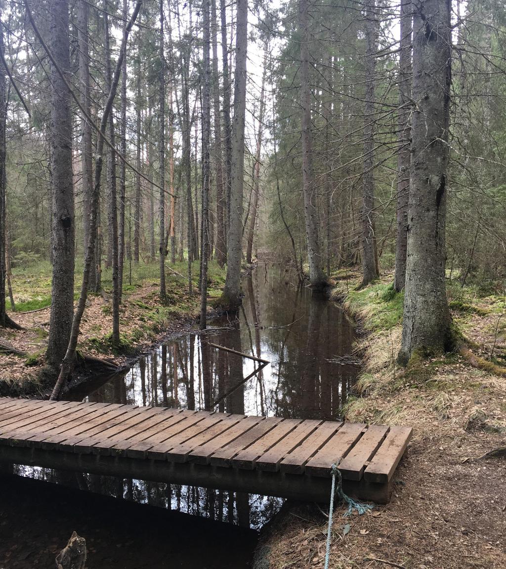 bakgrunn av dette, kan løsningen kjøpes inn og