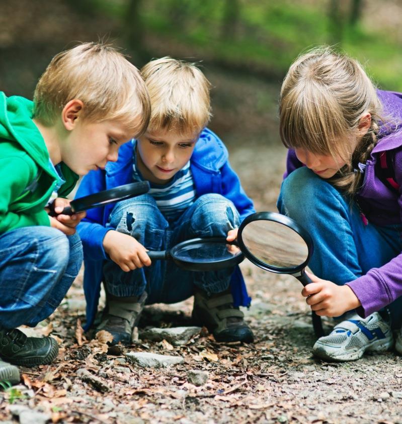 Skjerpet pedagognorm 8. og 15.