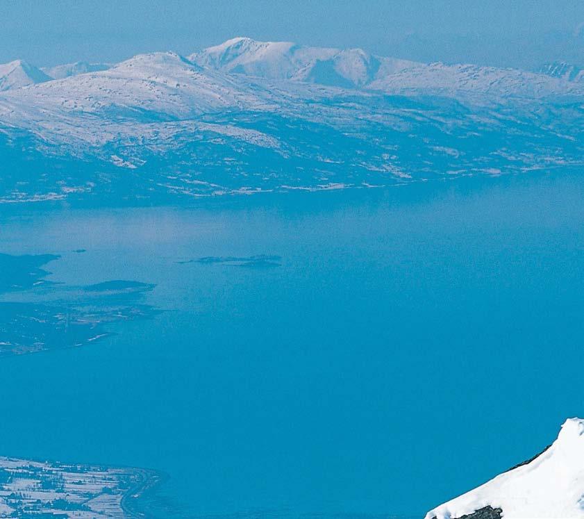 TOPOGRAFI SOM KVALITET Samtidig som mye av den norske byutviklingen i stor grad skjer på flate tomter, omtales ofte tilgang til natur og topografiske høyder som en vesentlig kvalitet ved å bo