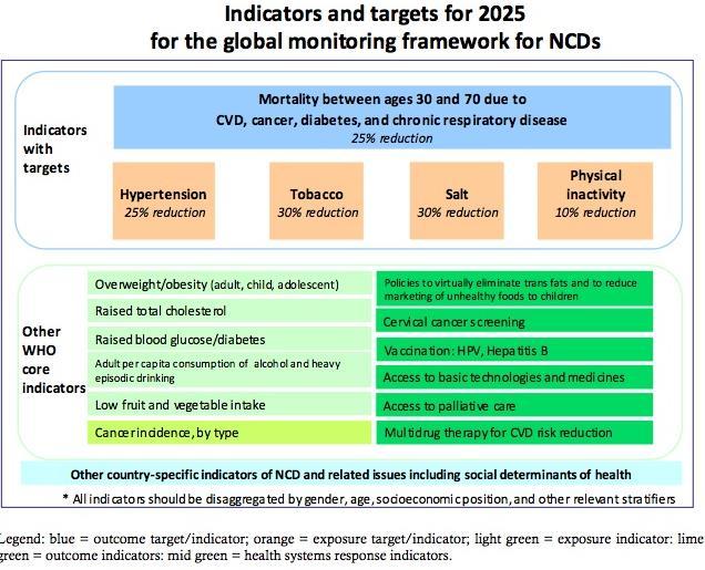 MÅLSETTING: WHO 22 nd March 2012 Indicators and