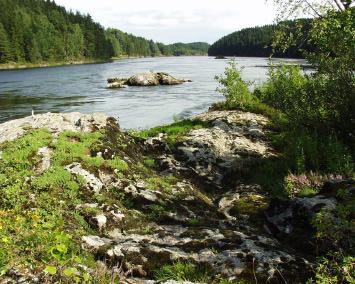 Ferskvann / våtmark Alle naturtyper som betinges av åpent ferskvann. Norge har en uvanlig stor tetthet av ulike ferskvannstyper, som er utbredt over hele landet.