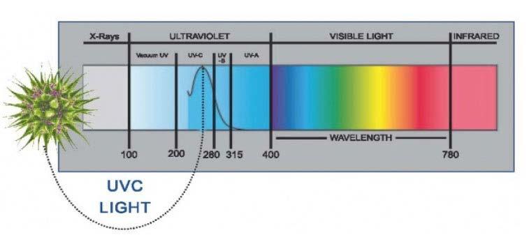 UV-desinfeksjon UV-lys produseres ved å sette elektrisk spenning på en gassblanding som inneholder kvikksølvdamp, noe