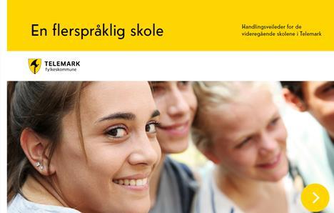 Minoritetsspråklige Ny handlingsveileder for skolene