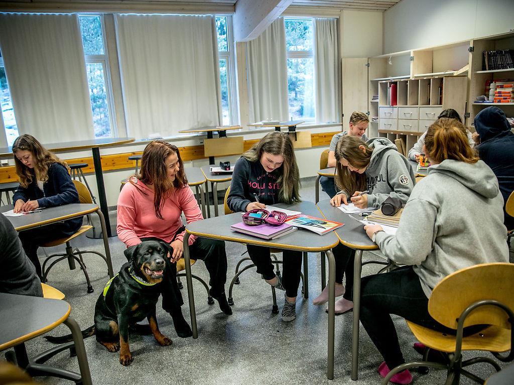 Sånn har det ikke alltid vært. MILJØARBEIDER: Skolehunden Saga betegnes som en god miljøarbeider på Haugjordet ungdomsskole.
