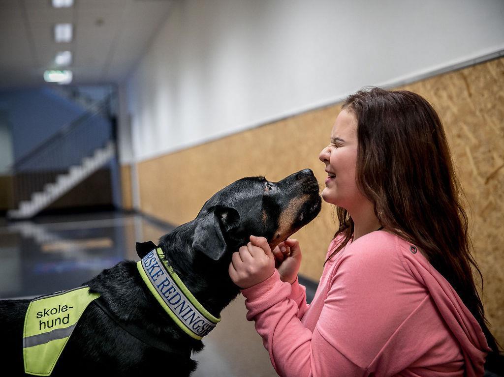 GOD VENN: Elise opplever at skolehunden Saga lytter til det hun forteller. Foto:TERJE BRINGEDAL.