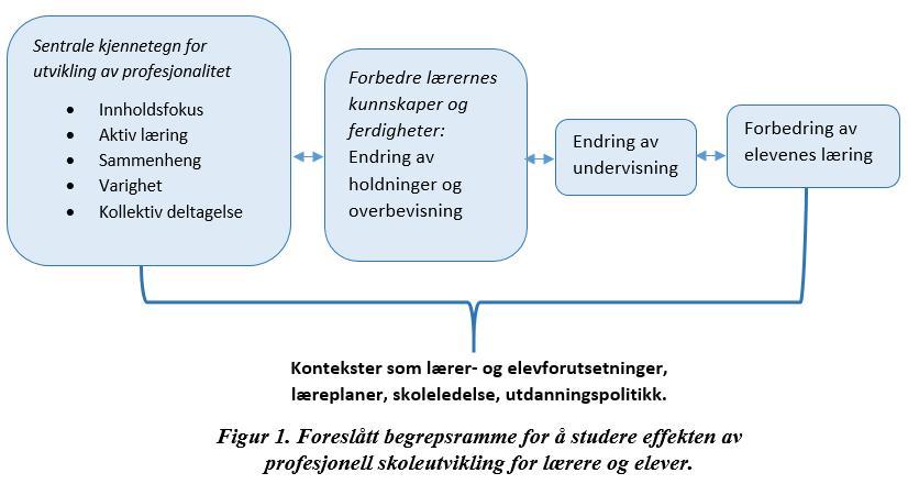 Effekten av profesjonell skoleutvikling!