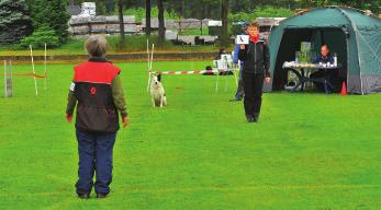 Vinner i klasse 3 282,5 poeng Stjärnglimtens Räzer, S54675/2009, Golden Retriever, eier Berit Svenningsen Vinner i klasse Elite- 252 poeng Fak s Neversay Never, NO44640/10, Labrador Retriever, eier