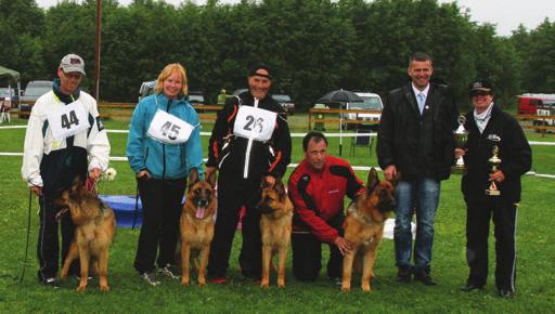 Fredrikstad. 2 EXC CK Team Marlboro Quess (Sch H III Siro Della Real Favorita BHP I NUCH Cayira s Frøyha) eier: Arne Olav Johansen, Askim.