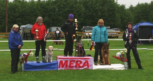 RESULTAT LYDIGHET Klasse 1 1.) Vasegaard Pips Cilla Anne Kvisle Abildsnes 148p 2.) Kaukottens Dancing Queen Bente Brynjulfsen 113p 3.