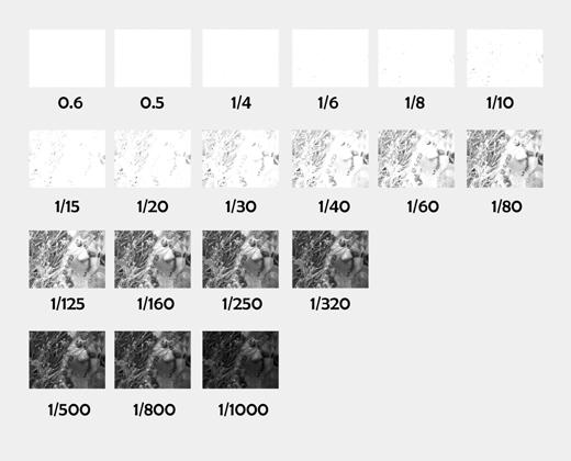 Ta bilder og gjøre videoopptak Blenderåning og lukkerhastighet (modusen Manual (manuell)) Du kan velge den beste kombinasjonen av