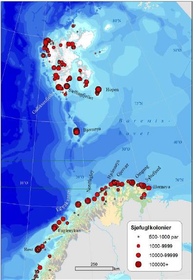 Figur C - 5 Store sjøfuglkolonier på fastlandet, Svalbard