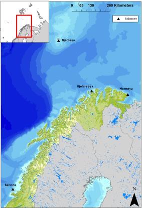 Figur C - 6 Utvalgte kolonier inkludert lyslogger-studiet(nina v/kjell E.